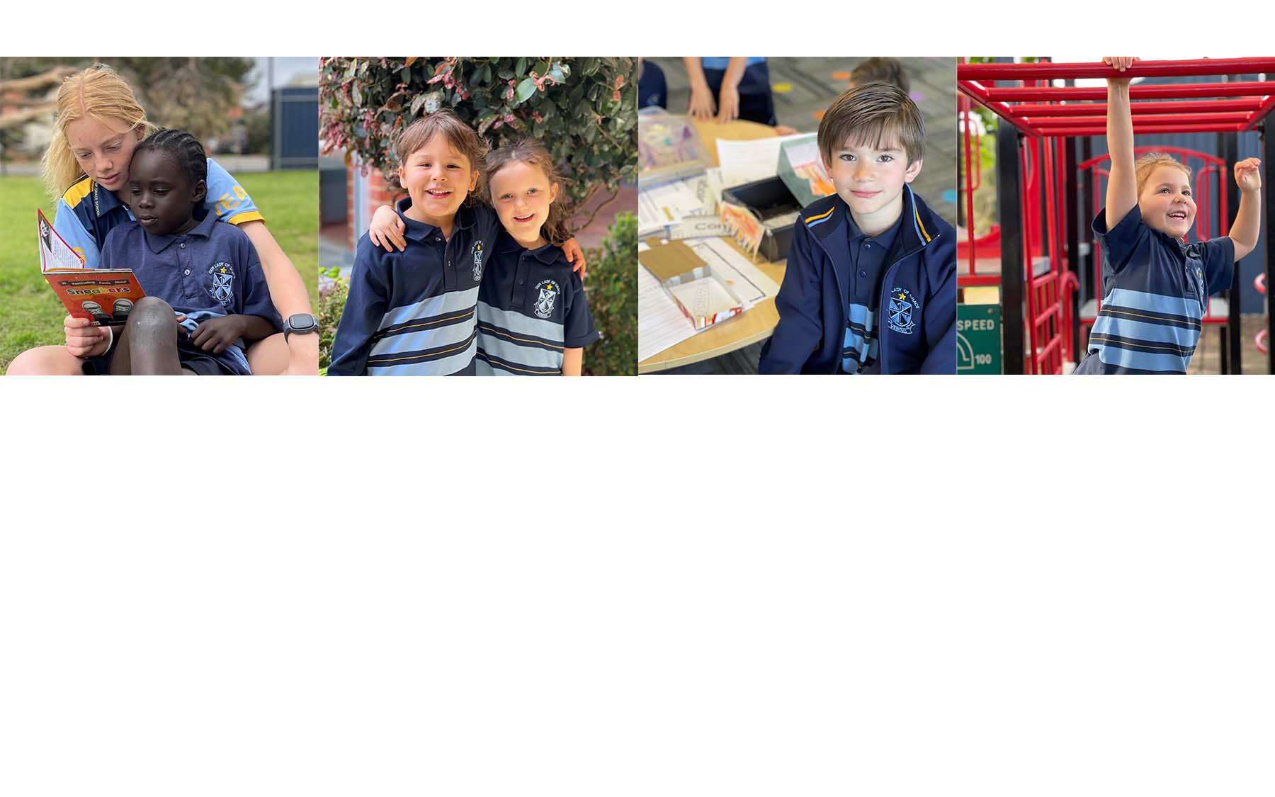 Website banner 1.jpg